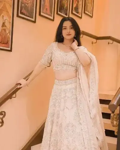 Escort Phagwara